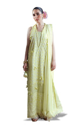 UAE-3 Piece Embroidered Cutwork Net Suit with Chiffon Dupatta FE-52159