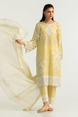 UAE-3PC Cambric Embroidered Suit