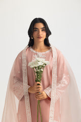 UAE-3PC Cambric Embroidered Suit
