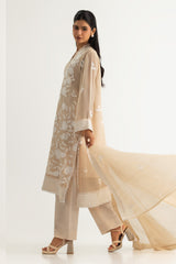 UAE- 3PC Chiffon Embroidered Suit