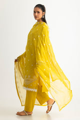 UAE-3PC Lawn Embroidered Suit