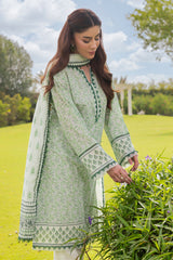 UAE-3 Piece Printed Suit