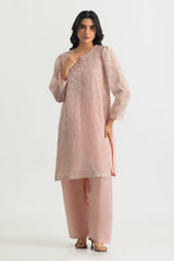 UAE-Cotton Net Embroidered Shirt And Dyed Trouser