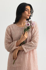 UAE-Cotton Net Embroidered Shirt And Dyed Trouser