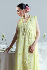 UAE-3 Piece Embroidered Cutwork Net Suit with Chiffon Dupatta FE-52159