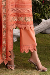UAE-3 Piece Embroidered Lawn Suit with Embroidered Chiffon Dupatta PM-62030