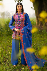 UAE-3 Piece Embroidered Lawn Suit with Embroidered Borders CL-52448