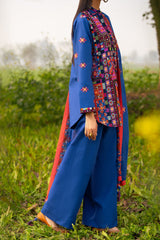 UAE-3 Piece Embroidered Lawn Suit with Embroidered Borders CL-52448