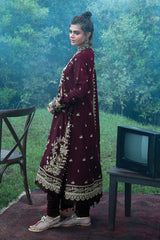 UAE-3 Piece Embroidered Pashmina Suit with Embroidered Pashmina Dupatta