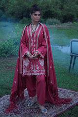 UAE-3 Piece Embroidered Pashmina Suit with Embroidered Pashmina Dupatta