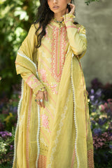 UAE-3 Piece Embroidered Paper Cotton Suit with Inner and Embroidered Borders and Embroidered Zari Stripe Paper Cotton Dupatta