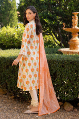 UAE-3 Piece Printed Lawn suit with Lace