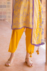 UAE-3 Piece Printed Lawn suit with Embroidered Organza Neckline