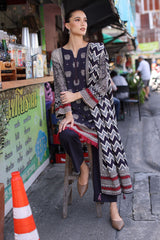 UAE-3 Piece Printed Khaddar Suit with Printed Khaddar Dupatta