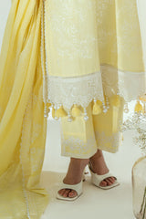 UAE-3 Piece Embroidered Lawn Suit with Lacquer Printed Denting Dupatta DN-62020