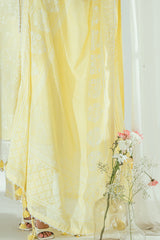 UAE-3 Piece Embroidered Lawn Suit with Lacquer Printed Denting Dupatta DN-62020