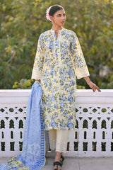 UAE-3 Piece Embroidered Printed Lawn Suit with Border CL-62082