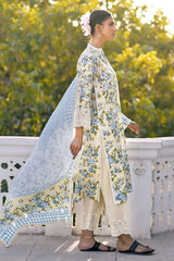 UAE-3 Piece Embroidered Printed Lawn Suit with Border CL-62082
