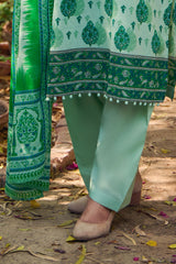 UAE-3 Piece Printed Lawn Suit with Dupatta CL-62020 B