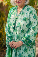 UAE-3 Piece Printed Lawn Suit with Dupatta CL-62020 B