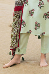 UAE-3 Piece Printed Lawn Suit with Dupatta CL-62066 B