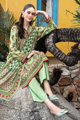 UAE-3 Piece Printed Lawn Suit with Dupatta CL-62075 B