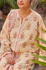 UAE-3 Piece Printed Lawn Suit with Dupatta CL-62107 A