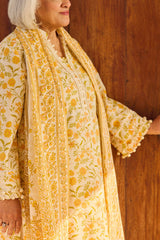 UAE-3 Piece Printed Lawn Suit with Dupatta CL-62113 A