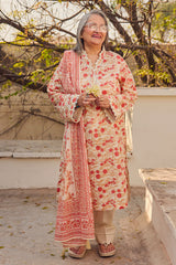 UAE-3 Piece Printed Lawn Suit with Dupatta CL-62113 B