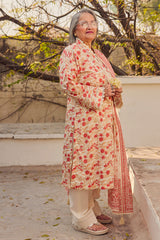 UAE-3 Piece Printed Lawn Suit with Dupatta CL-62113 B