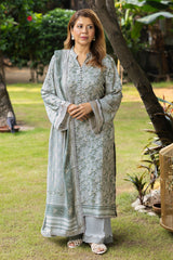 UAE-3 Piece Printed Linen Suit