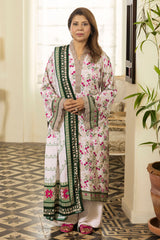 UAE-3 Piece Printed Linen Suit