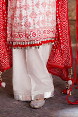 UAE -3 Piece Unstitched Printed Lawn Suit CL-42316 A