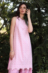UAE -2 Piece Unstitched Embroidered Lawn Shirt with Dyed Trouser TL-52095