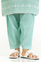 UAE-Cambric Embroidered Shirt And Shalwar IPST-44354