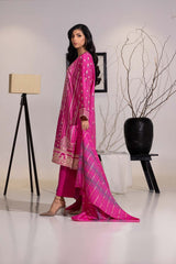 UAE-3 Piece Karandi Embroidered And Lacquer Printed Suit IUSTKSD-476
