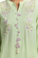 UAE-Rawsilk Embroidered Shirt And Trouser IPST-44591
