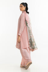 UAE-Rawsilk Embroidered Shirt And Trouser IPST-44593