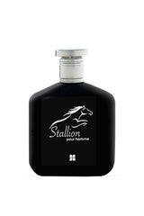 UAE -Stallion