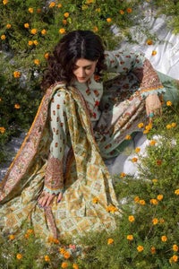 UAE -2PC Lawn Printed Unstitched Suit TL-32051 B