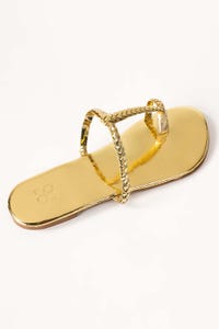 UAE -Golden Slipper IWW-SLP24-033