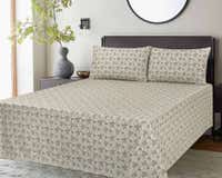 UAE -AW22-032 Bed Sheet Set