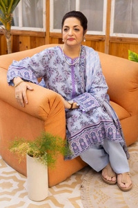 UAE -3PC Printed Lawn Unstitched Suit CL-42079 B