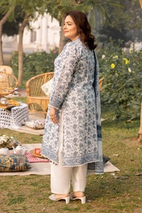 UAE -3PC Printed Lawn Unstitched Suit CL-42193 B