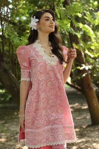 UAE -2 Piece Unstitched Embroidered Lawn Suit TL-52083