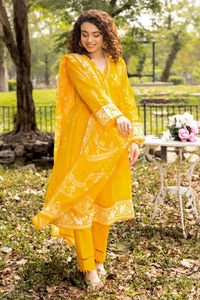 UAE -3PC Printed Lawn Unstitched Suit CL-32513 A