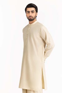 UAE -Fawn Embroidered Suit SKE-209