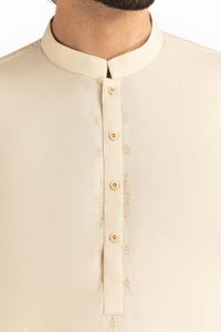 UAE -Fawn Embroidered Suit SKE-209