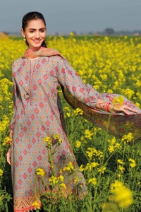 UAE -3PC Lawn Unstitched Printed Suit CL-32427 B