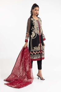 UAE -Luxury Pret Dyed Karandi Net Embroidered Kurti With Dupatta ILP-22-123 2PC